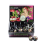 Cannabis Slikpind Strawberry Cheesecake Med Tygegummi Cannabis Slikpind Strawberry Cheesecake Med Tygegummi