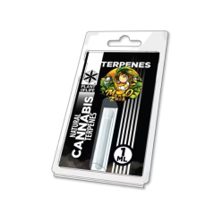 TERPENE – MANGO KUSH 1 ML | PLANT OF LIFE