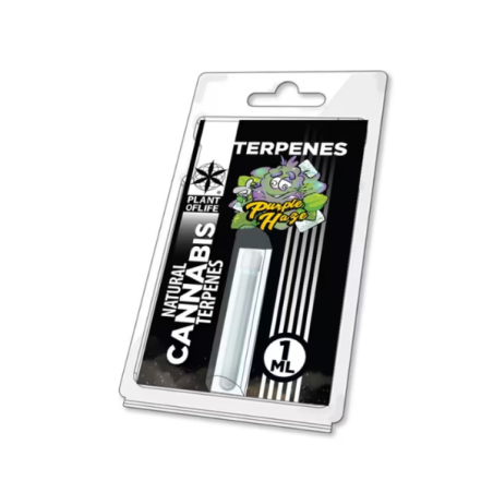 TERPENE – PURPLE HAZE 1 ML | PLANT OF LIFE