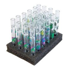 One Hit Pibe 10cm Weed
