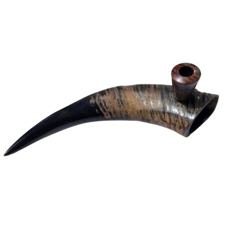 Bøffelhorn Tjubang 34cm