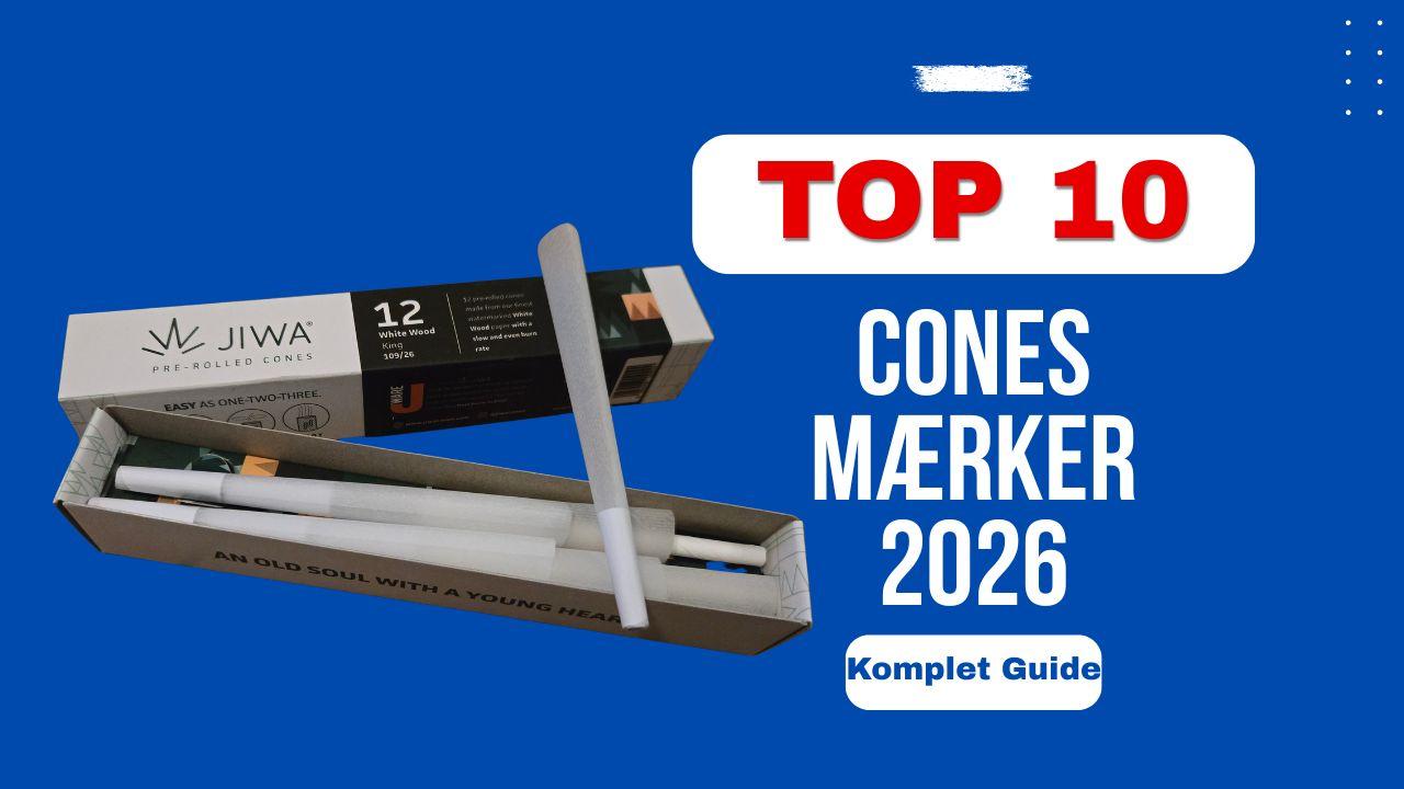 Top 10 Cones Mærker i 2026 – Komplet Guide