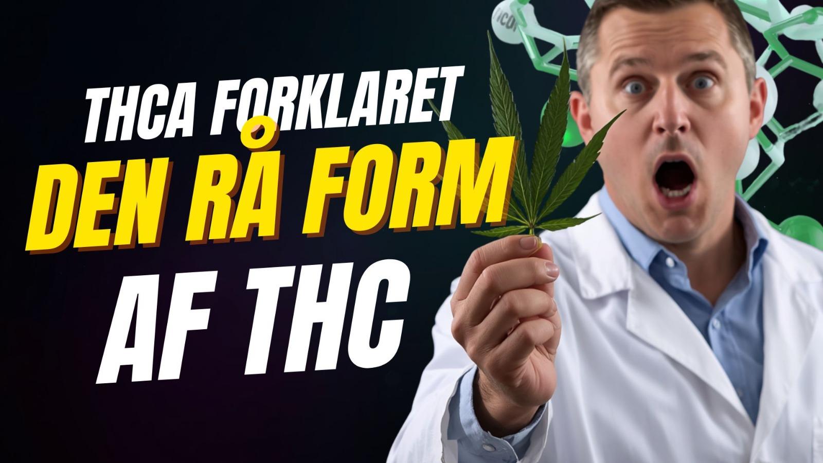 THCA forklaret: Den rå form af THC
